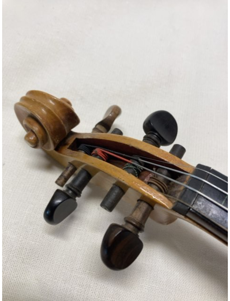 Violin